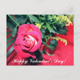 ROSA OCH GUL ROS VALENTINES DAY VYKORT