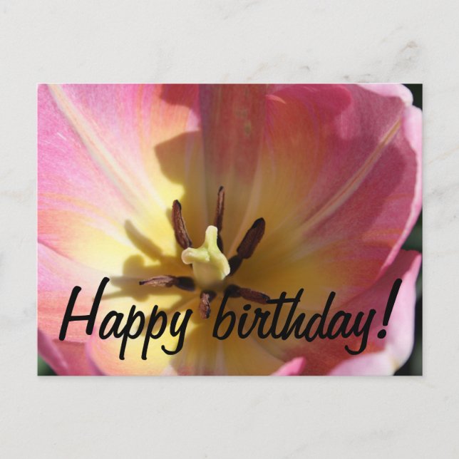 Rosa och gul tulpan vykort (Framsida)