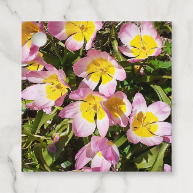 Rosa och Gula blommor Gåvor Etiketter (Framsida)