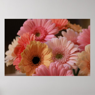 ROSA OCH GULA BLOMMOR I NÄRA FOTOGRAFI POSTER