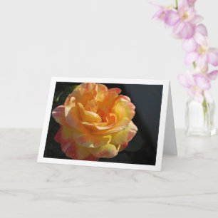 Rosa och gula blommor Ros Kort