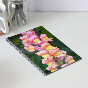 Rosa och gula snapdragons blommor anteckningsbok