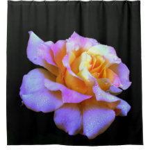 Rosa och Guld Ro-diskgardiner