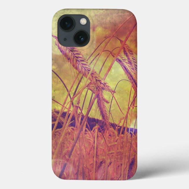 Rosa och Guld vete i Pad-affären (Baksida)