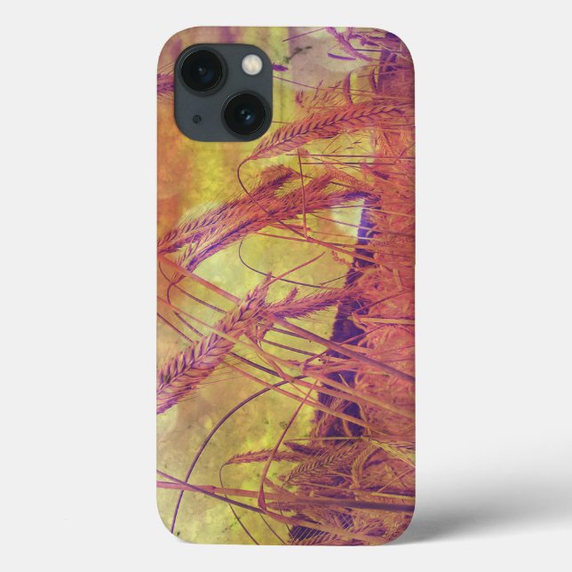 Rosa och Guld vete i Pad-affären (Baksida)