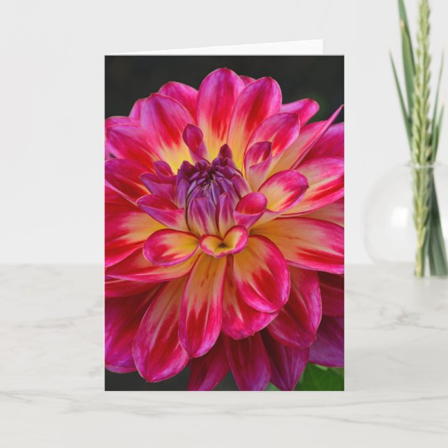 Rosa- och gult-blomsterkort kort (Framsida)