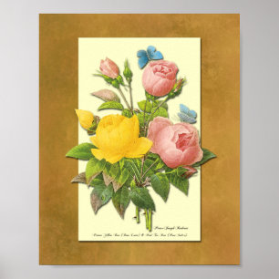 Rosa och Gult Botaniskt Ro Faux Parchment Art Poster