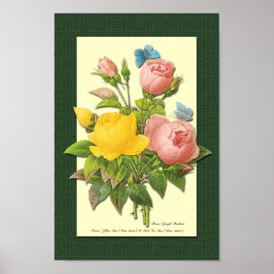 Rosa och Gult Botaniskt Ro på Grönt Poster