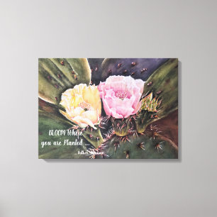 Rosa och Gult Cactus Flowers i vattenfärger Canvastryck