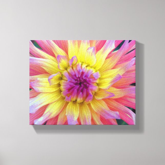 Rosa och Gult Dahlia Canvastryck (Framsida)
