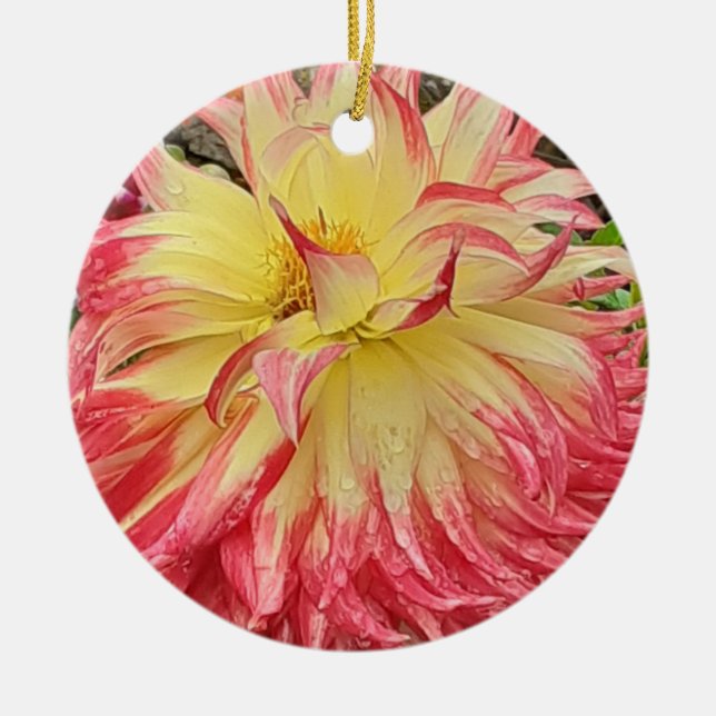 Rosa och Gult Dahlia Ceramic Ornament (Framsidan)
