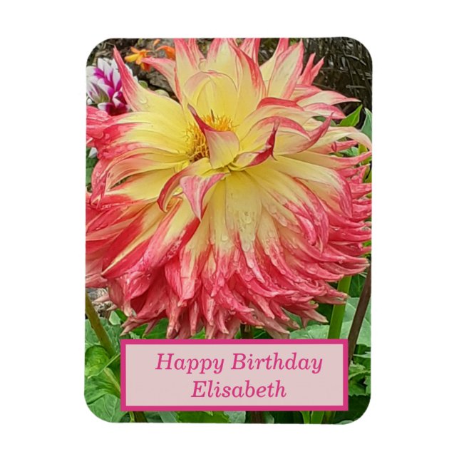 Rosa och Gult Dahlia Flexible Magnet (Vertikal)