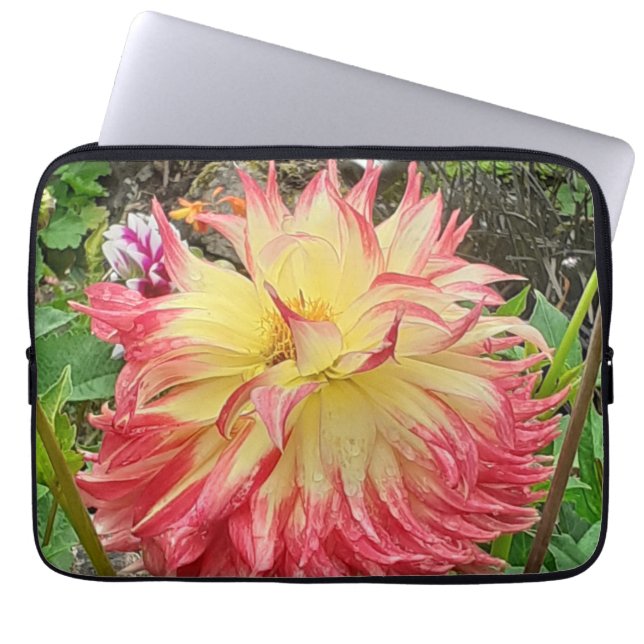Rosa och Gult Dahlia Laptop sleeve (Framsidan)