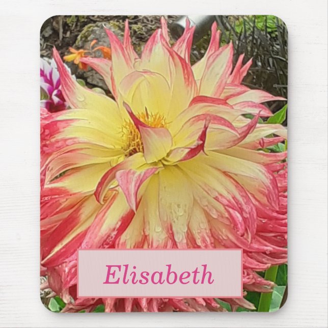 Rosa och Gult Dahlia Musmatta (Framsidan)