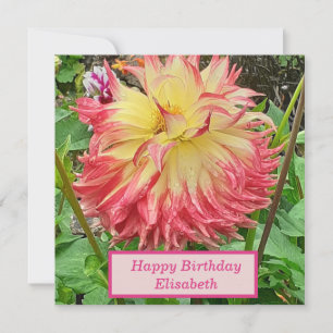 Rosa och Gult Dahlia-platta födelsedagskort Kort