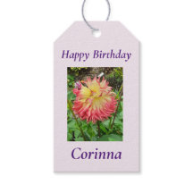 Rosa och Gult Dahlia