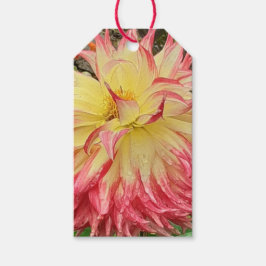 Rosa och Gult Dahlia Presentetikett