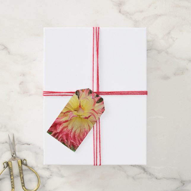 Rosa och Gult Dahlia Presentetikett (Med Snöre)