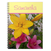 Rosa och Gult Lily Lillies Flower Girls Namn No.