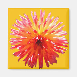 Rosa och gult magnet