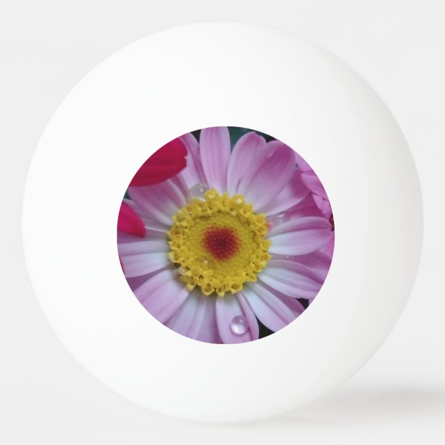 Rosa och gult pingisboll (Framsidan)