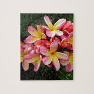 Rosa och Gult Tropical Plumeria Flowers Pussel