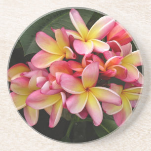 Rosa och Gult Tropical Plumeria Flowers Underlägg