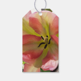 Rosa och Gult Tulip Gift-Märkre Presentetikett