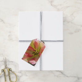 Rosa och Gult Tulip Gift-Märkre Presentetikett