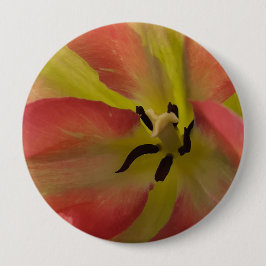 Rosa och Gult Tulip Knapp