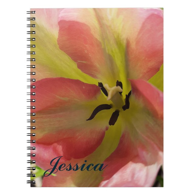 Rosa och Gult Tulip Spiral bärbar dator Anteckningsbok (Framsidan)