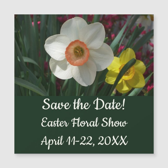 Rosa och Gult Vår blommor i Daffodils (Framsida)