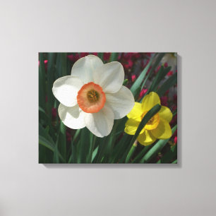 Rosa och Gult Vår blommor i Daffodils Canvastryck