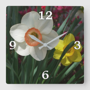 Rosa och Gult Vår blommor i Daffodils Fyrkantig Klocka
