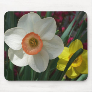 Rosa och Gult Vår blommor i Daffodils Musmatta