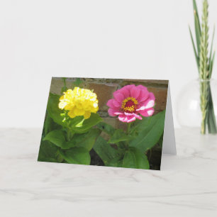 Rosa och Gult Zinnias Greeting Card Kort