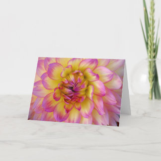 rosa- och gultdahlia kort