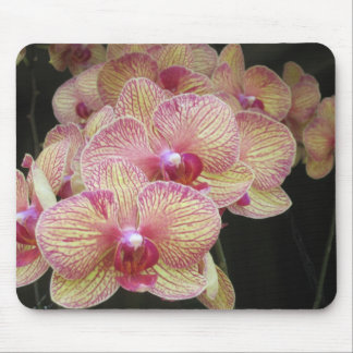 Rosa- och gultmalOrchid Mousepad Musmatta