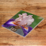 Rosa och Lila Bearded Iris Blommigt Kakelplatta<br><div class="desc">Keramiskt plattor som innehåller fotobilden av en rosa och lila,  skäggig isflumma med orange skägg. En underbar,  blommigt design! Markera din ruta storlek. Gör en söt köksbagge!</div>