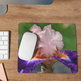Rosa och Lila Bearded Iris Blommigt Musmatta