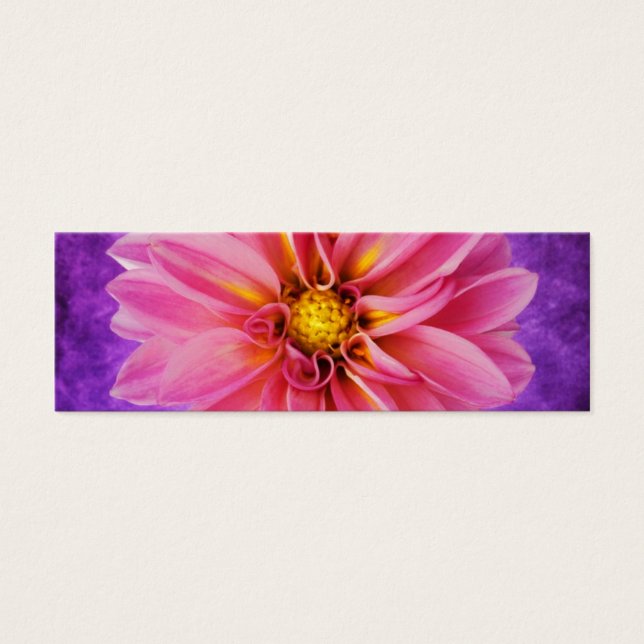 Rosa- och lila-dahlia (baksida) litet visitkort (Framsidan)