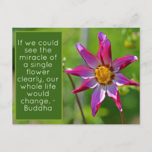 Rosa och lila Dahlia Blomma Inspirations Postca Vykort