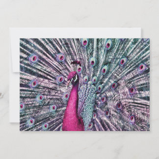 Rosa och Lila - inbjudningar till Fantasy Peacock