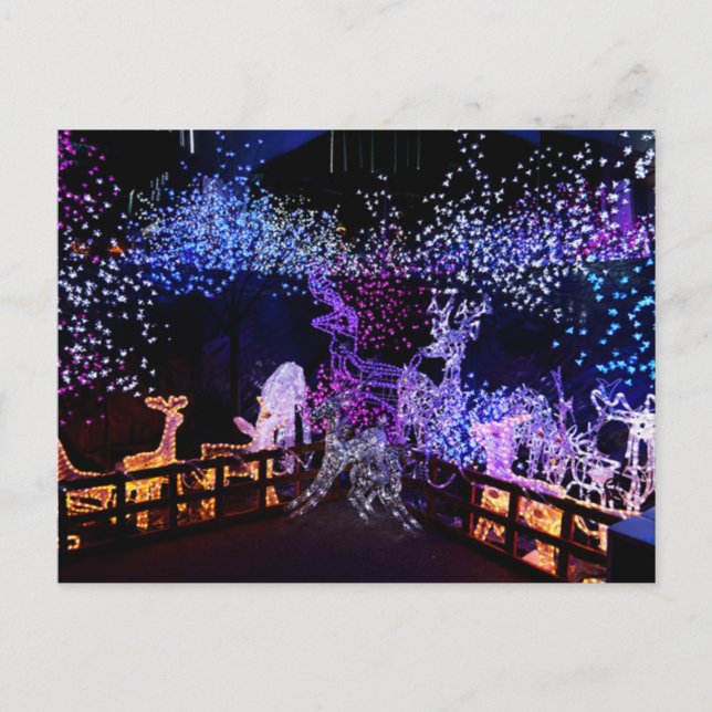 Rosa och Lila Juldekorationer utomhus Helg Vykort (Framsida)