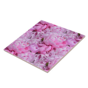 Rosa och Lila Kakelplatta