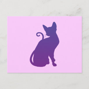 Rosa och lila katt vykort