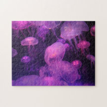 Rosa och Lila-maneter