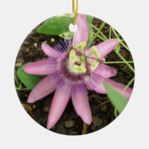 Rosa och Lila Passionblommor Ornament
