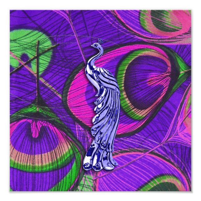 Rosa och Lila Peacock Fototryck (Framsidan)