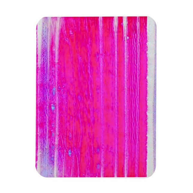 Rosa och Lila Rand av Abstrakt Magnet (Vertikal)